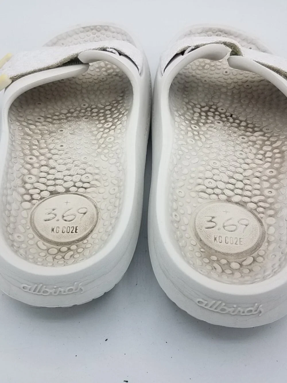 allbirds sugar sliders